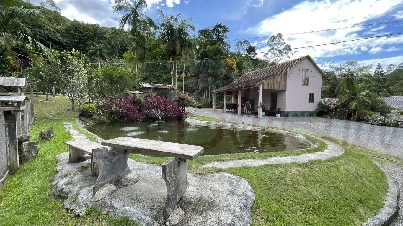 ? Sítio Completo para Moradia e Investimento - Benedito Novo ? — foto 2