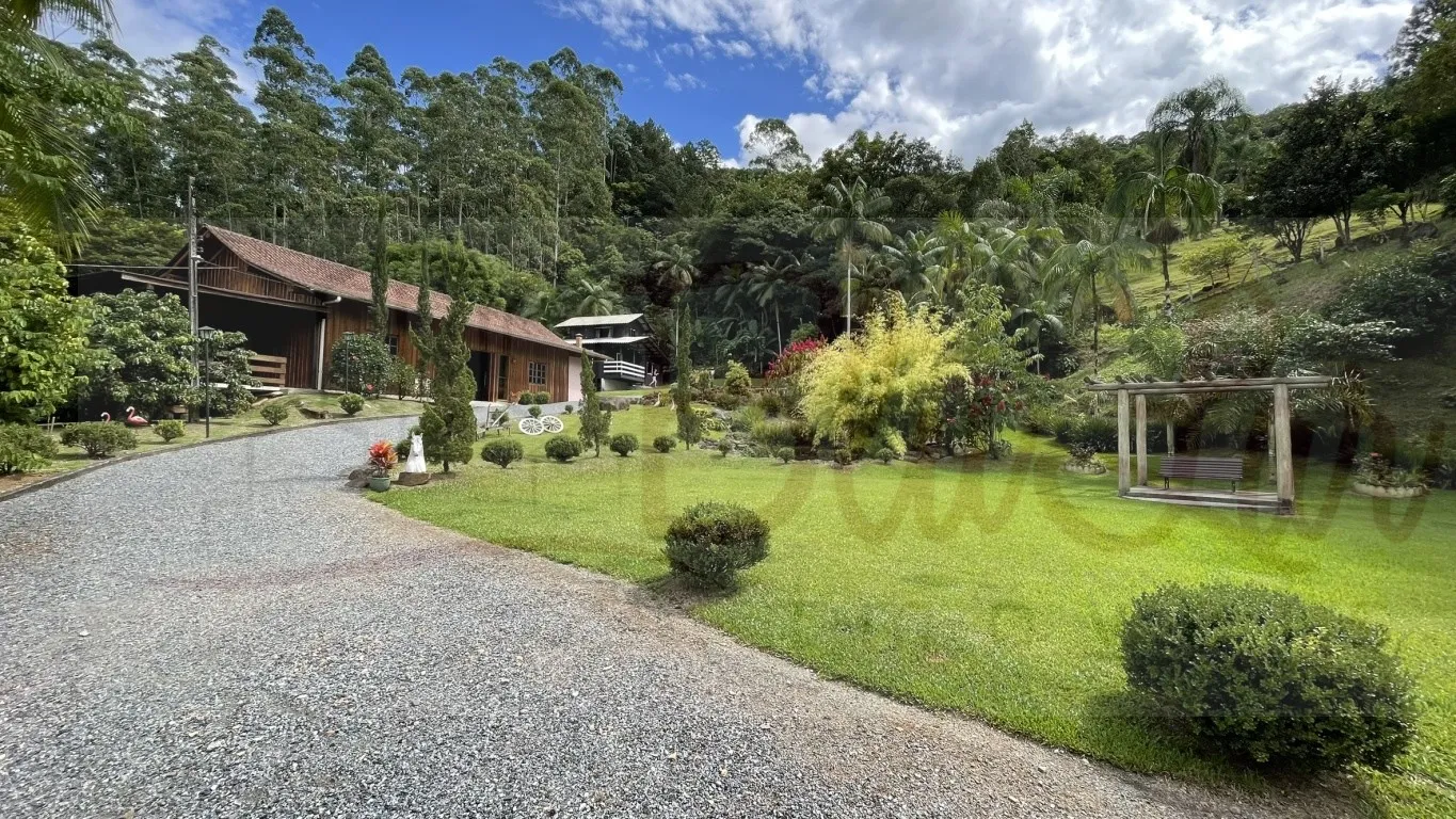 ? Sítio Completo para Moradia e Investimento - Benedito Novo ? — foto 7