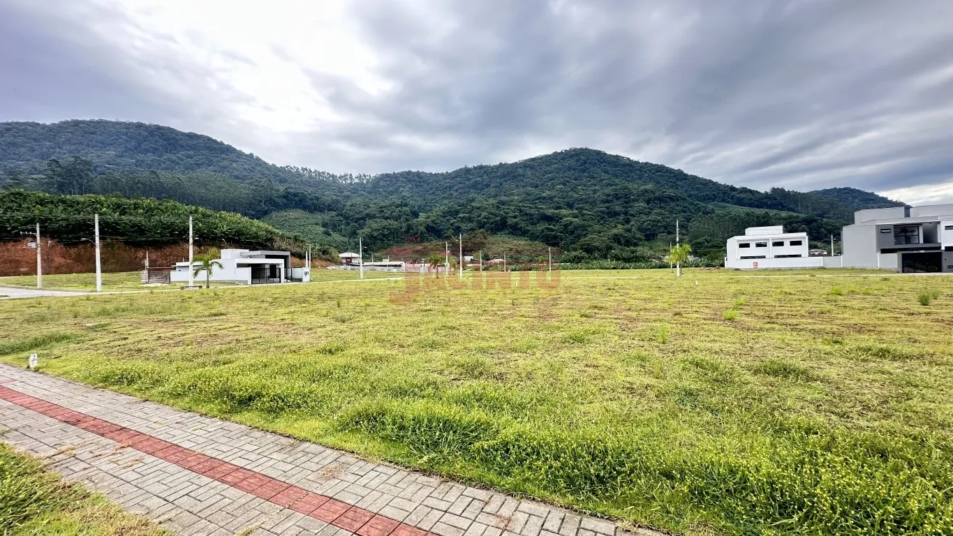 Ótimo terreno com localização privilegiada em Luiz Alves. — foto 4