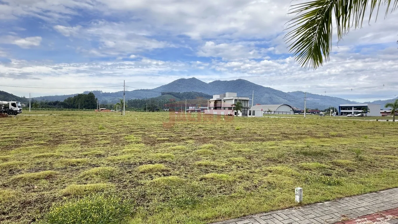 Ótimo terreno com localização privilegiada em Luiz Alves. — foto 6