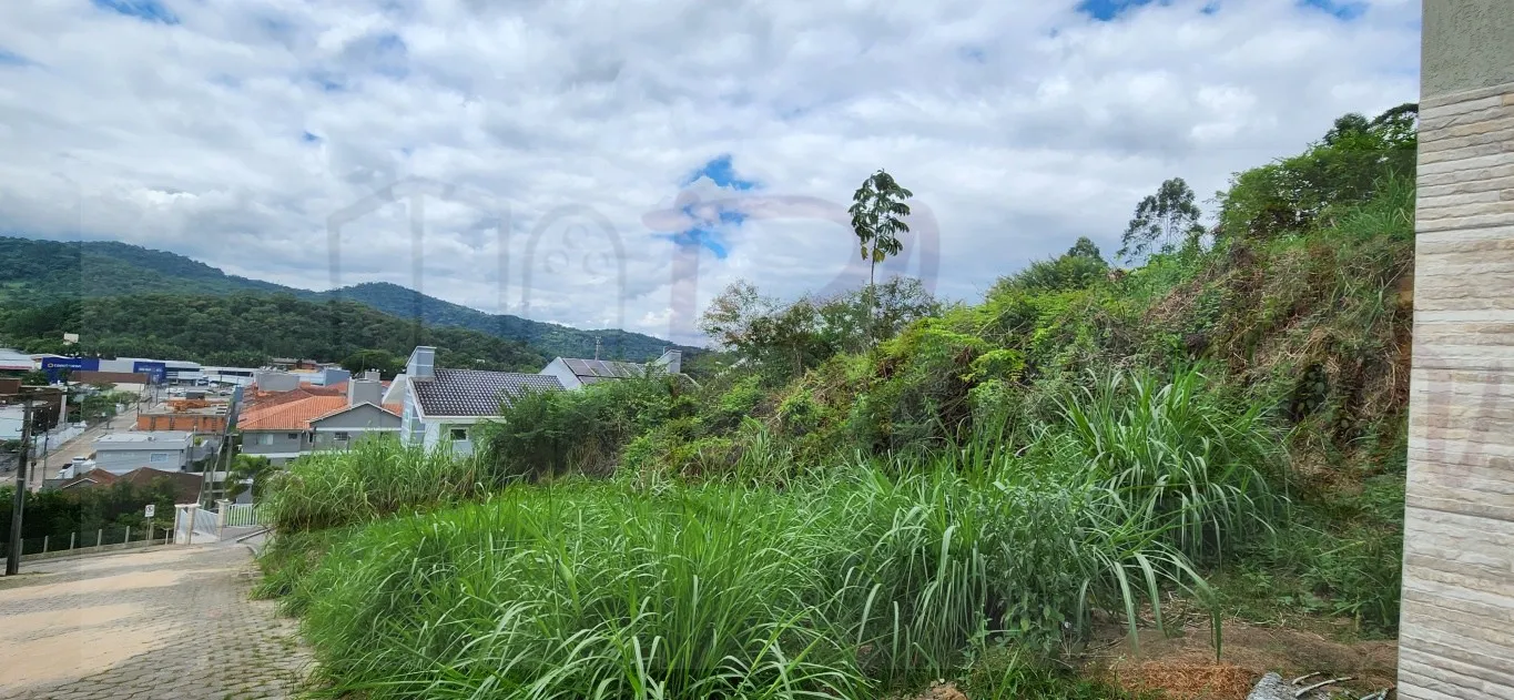 Terreno a venda com área de 1056,00 M sendo 15 metros de frente excelente localização — foto 6