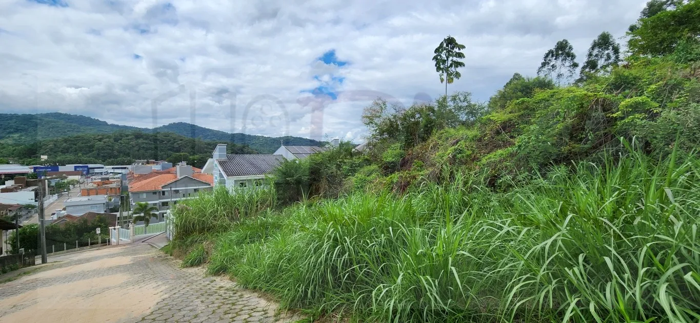 Terreno a venda com área de 1056,00 M sendo 15 metros de frente excelente localização — foto 7