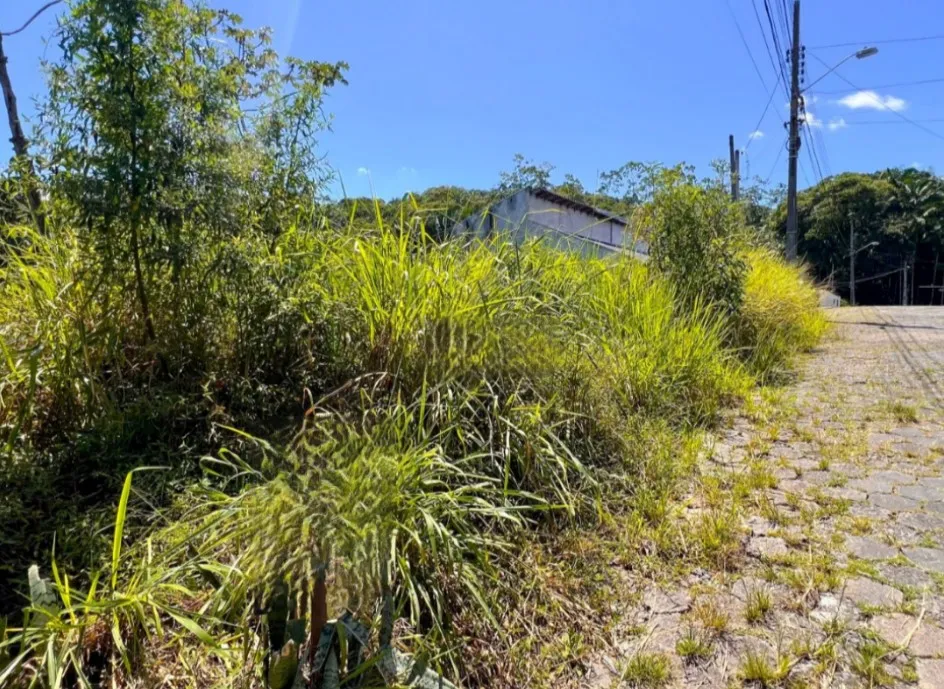 Terreno no bairro Garcia — foto 3