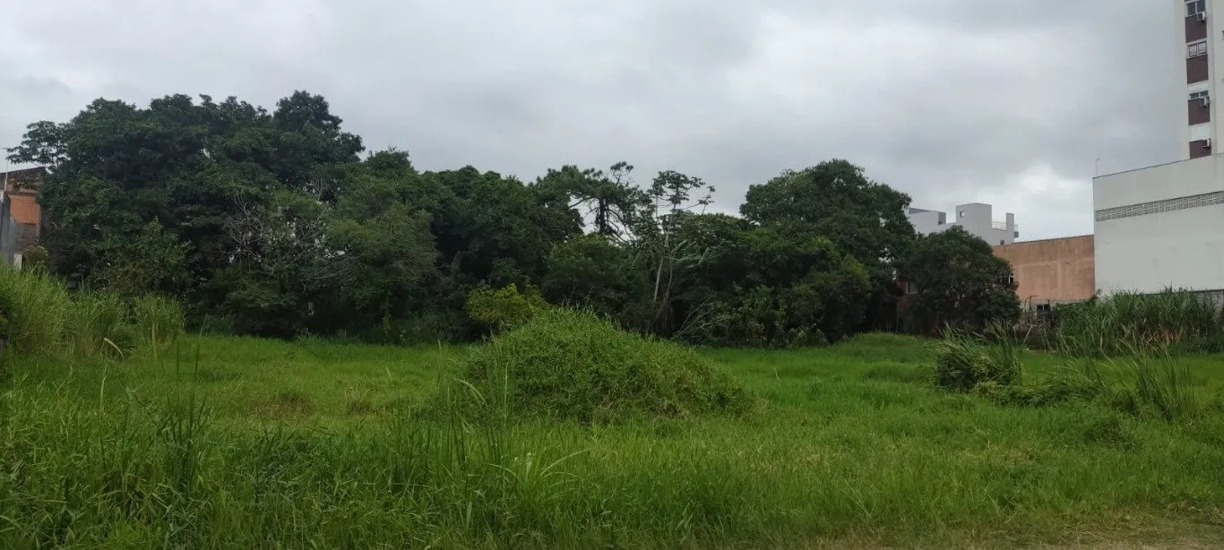Imóvel - foto 1