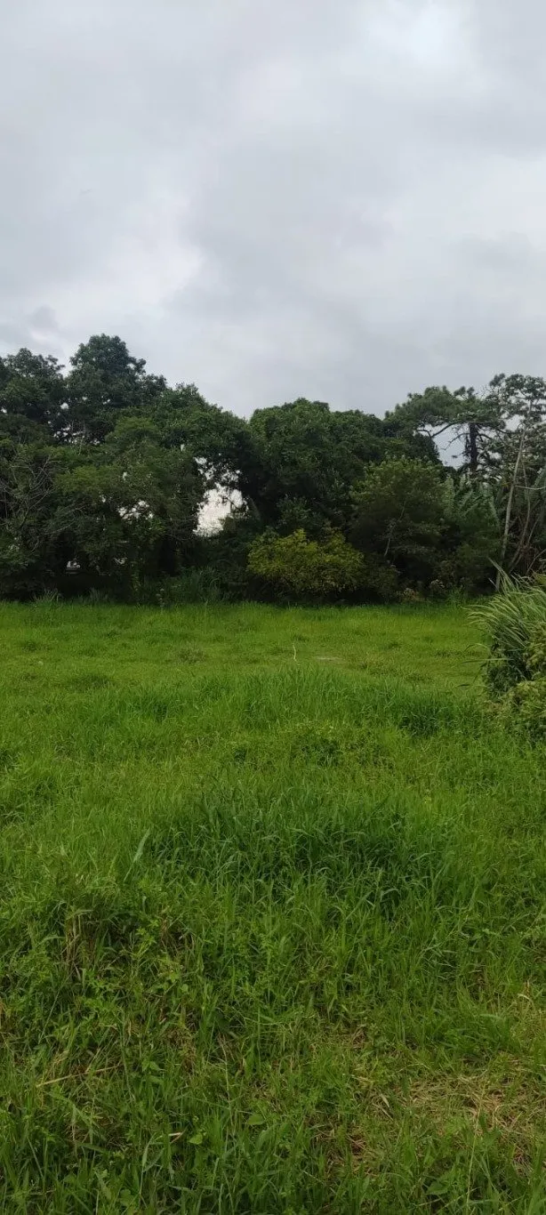 Imóvel — foto 2