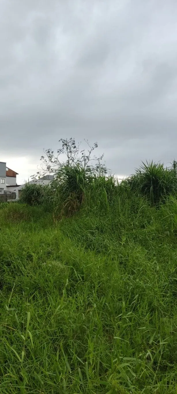 Imóvel — foto 6