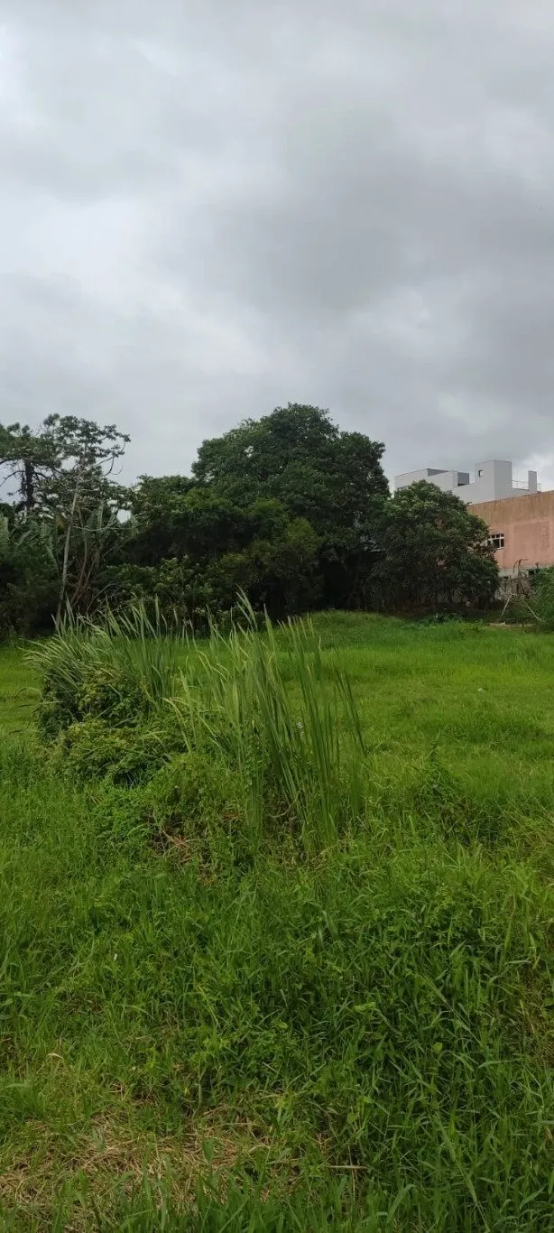 Imóvel — foto 7