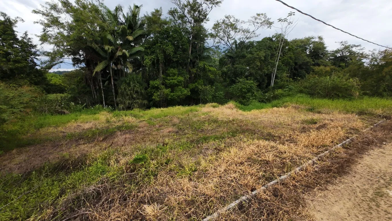 Terreno à venda em Testo Central - Pomerode/SC - foto 1