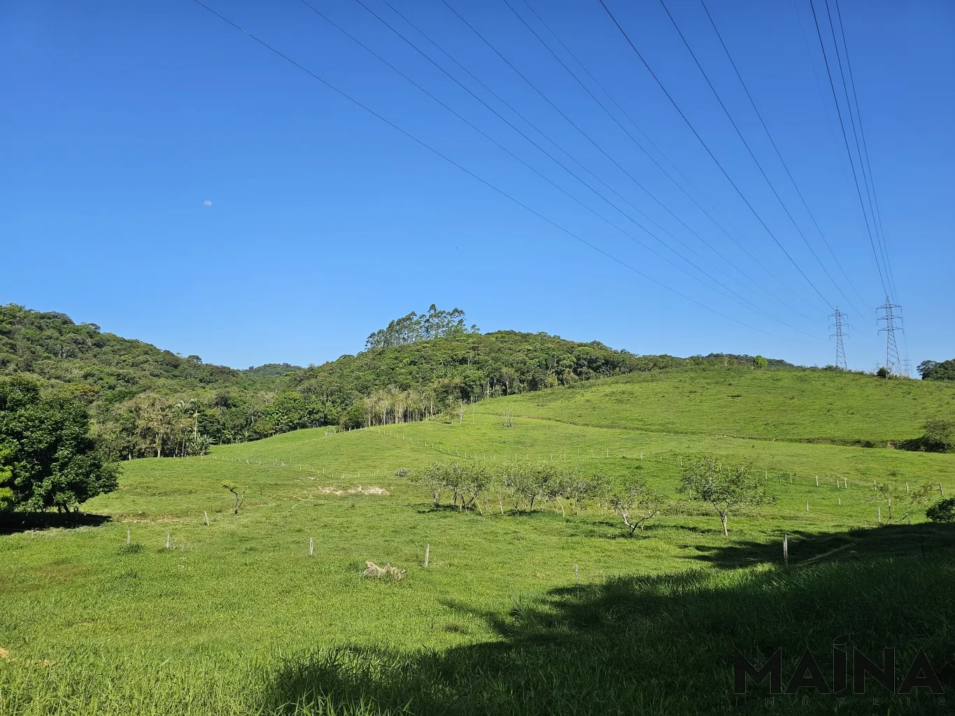 Terreno Amplo e Estratégico à Venda no Bairro Fortaleza Alta - Blumenau/SC — foto 4