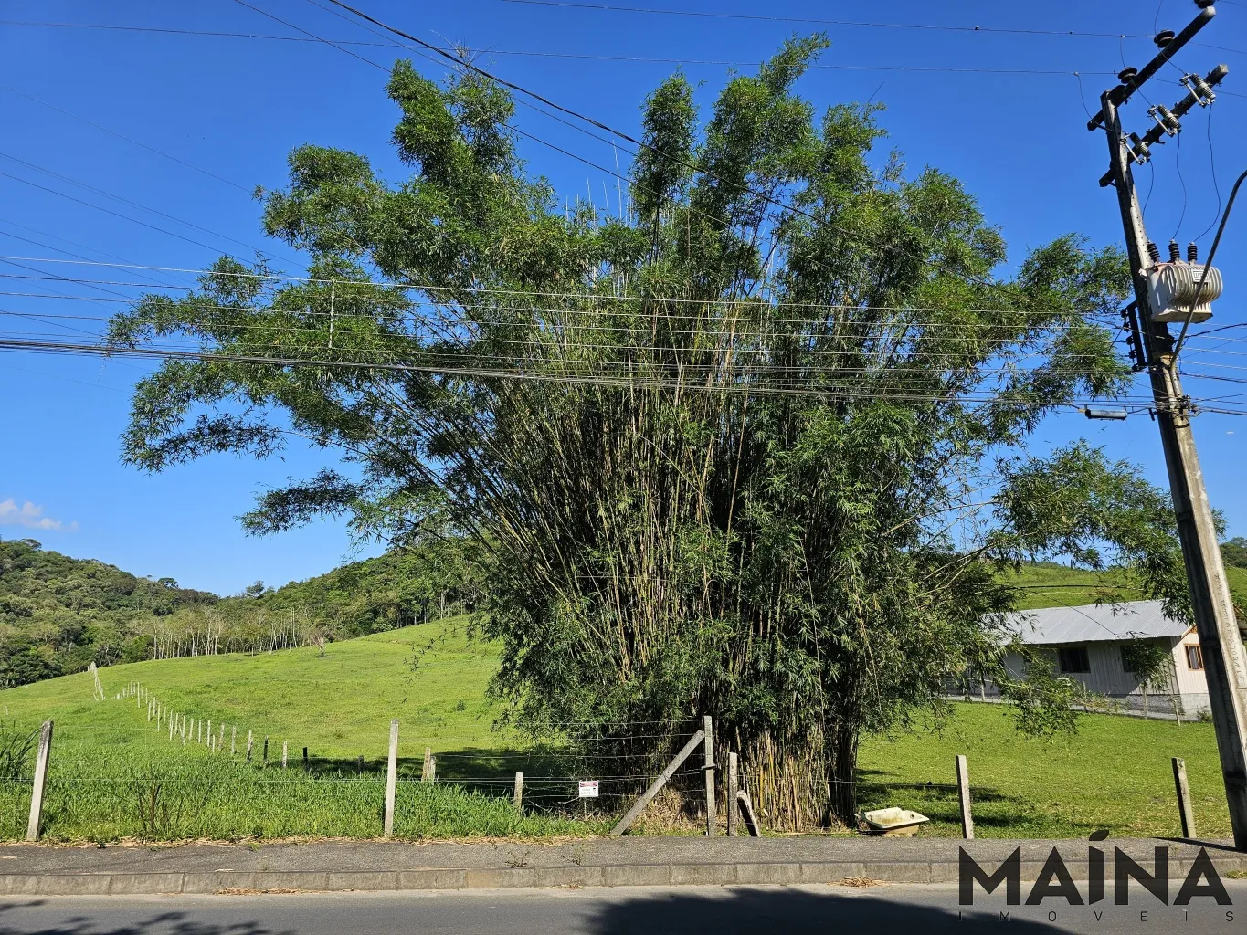 Terreno Amplo e Estratégico à Venda no Bairro Fortaleza Alta - Blumenau/SC — foto 5