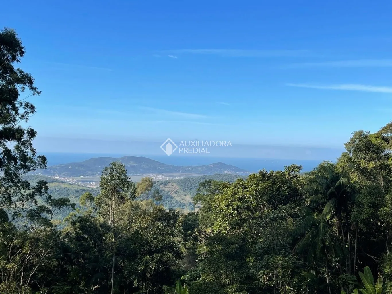Imóvel - foto 1