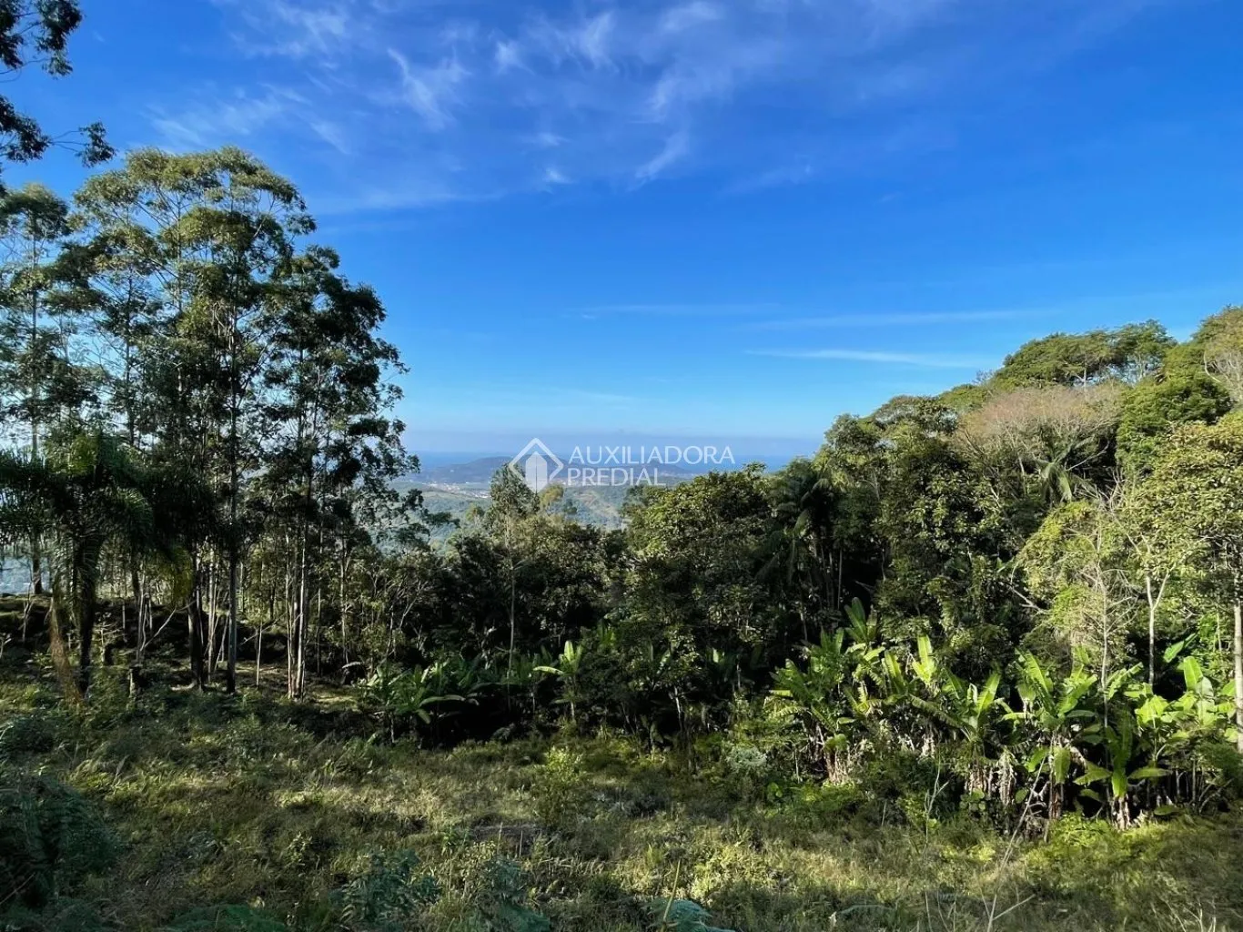 Imóvel — foto 2