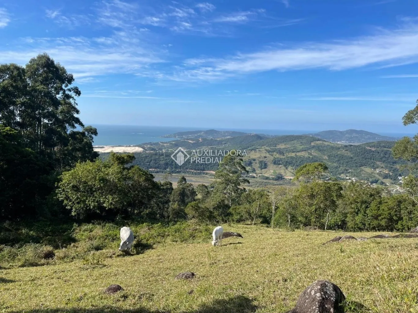 Imóvel — foto 3