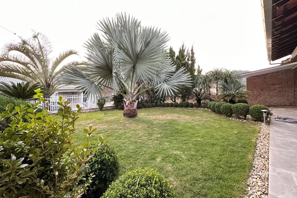 Linda Casa com 3 dormitórios ! — foto 4