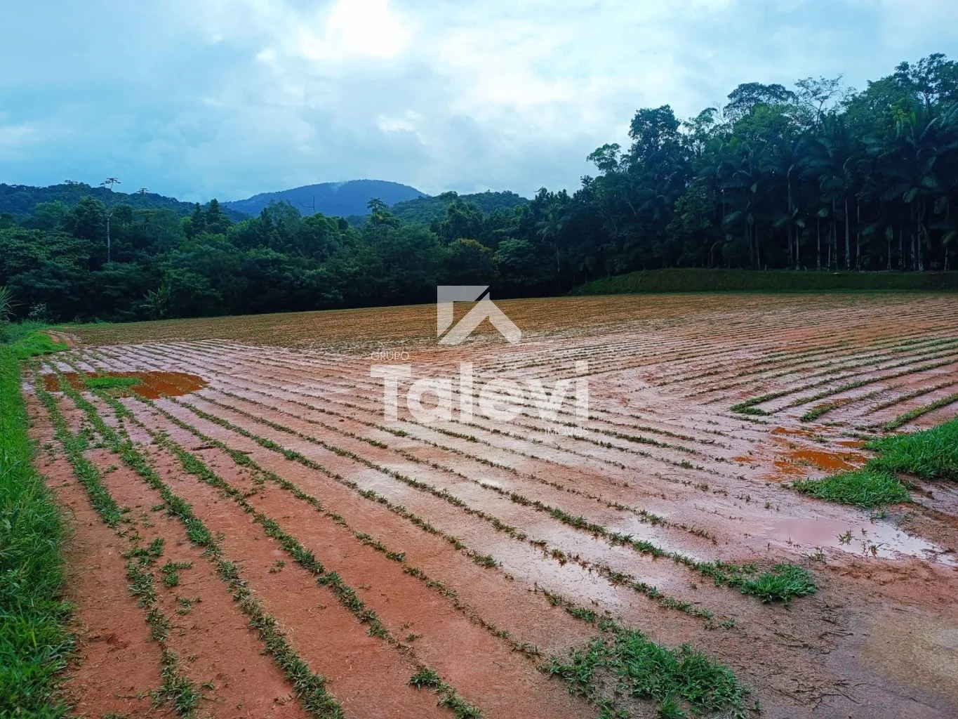 TERRENO ESTRATÉGICO COM VIABILIDADE PARA PRÉDIO ATÉ 4 PAVIMENTOS EM TESTO CENTRAL | POMERODE — foto 7