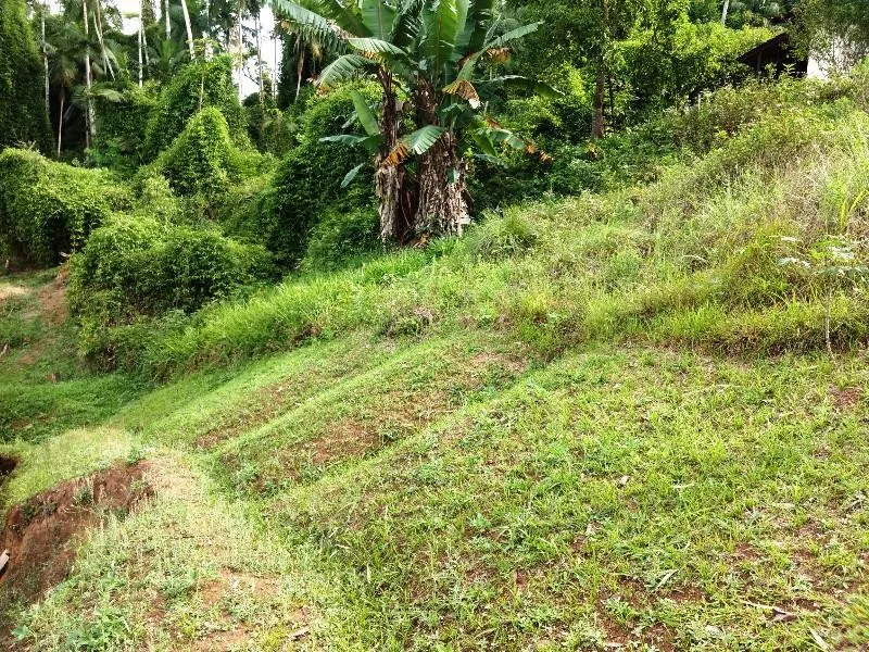 Terreno à venda, com área de 380 m por R$ 160.000 - Escola Agrícola - Blumenau/SC — foto 3