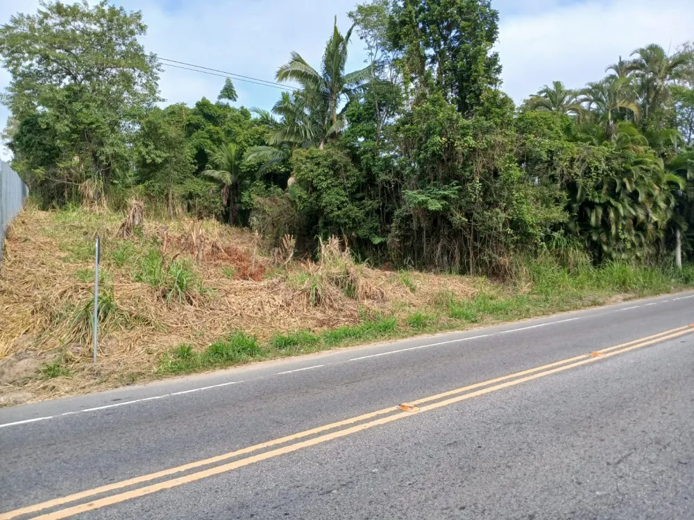 TERRENO INDUSTRIAL / COMERCIAL - RUA DR. BLUMENAU - foto 1