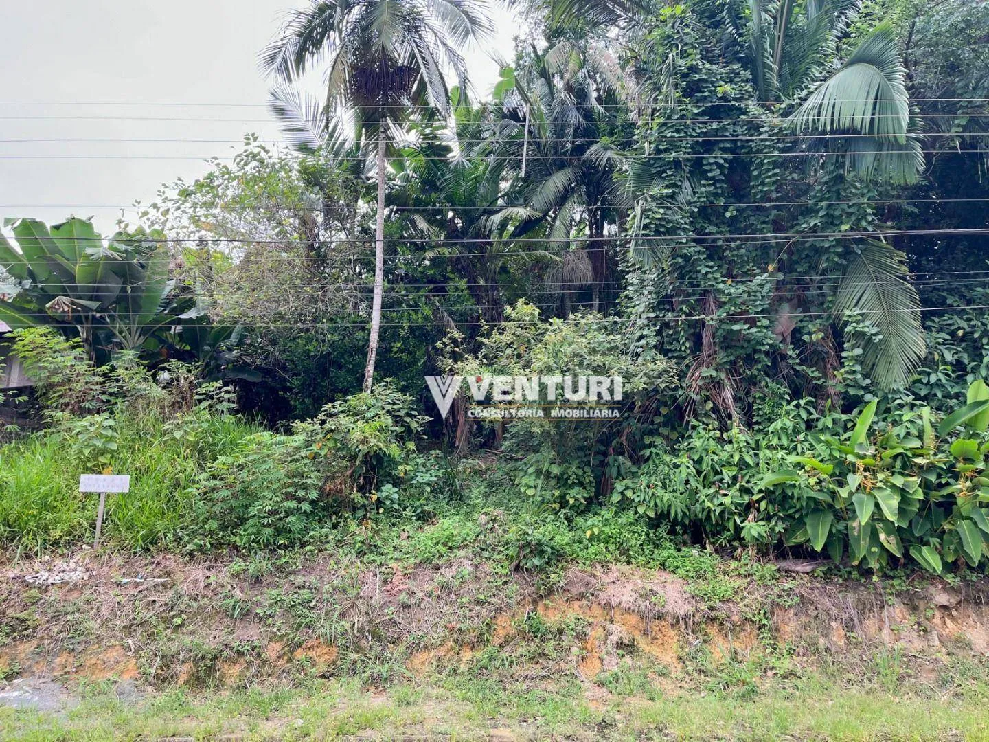 Terreno à venda, 1153 m por R$ 810.000,00 - Fortaleza - Blumenau/SC - foto 1