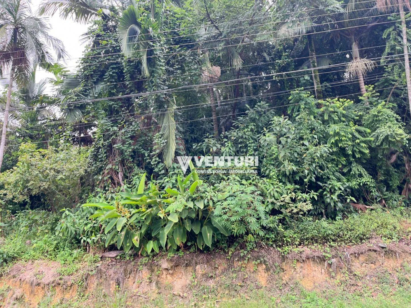 Terreno à venda, 1153 m por R$ 810.000,00 - Fortaleza - Blumenau/SC — foto 3