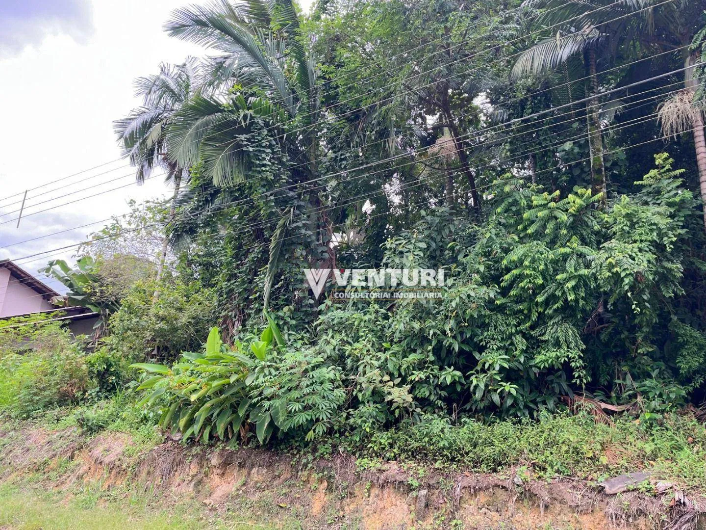 Terreno à venda, 1153 m por R$ 810.000,00 - Fortaleza - Blumenau/SC — foto 4