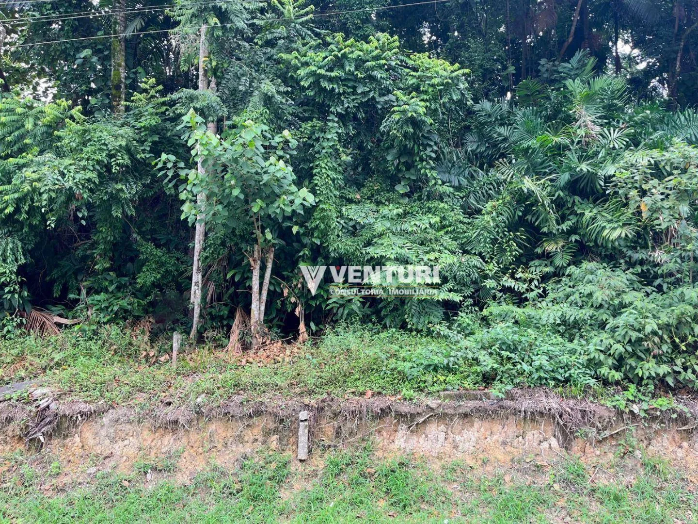 Terreno à venda, 1153 m por R$ 810.000,00 - Fortaleza - Blumenau/SC — foto 5
