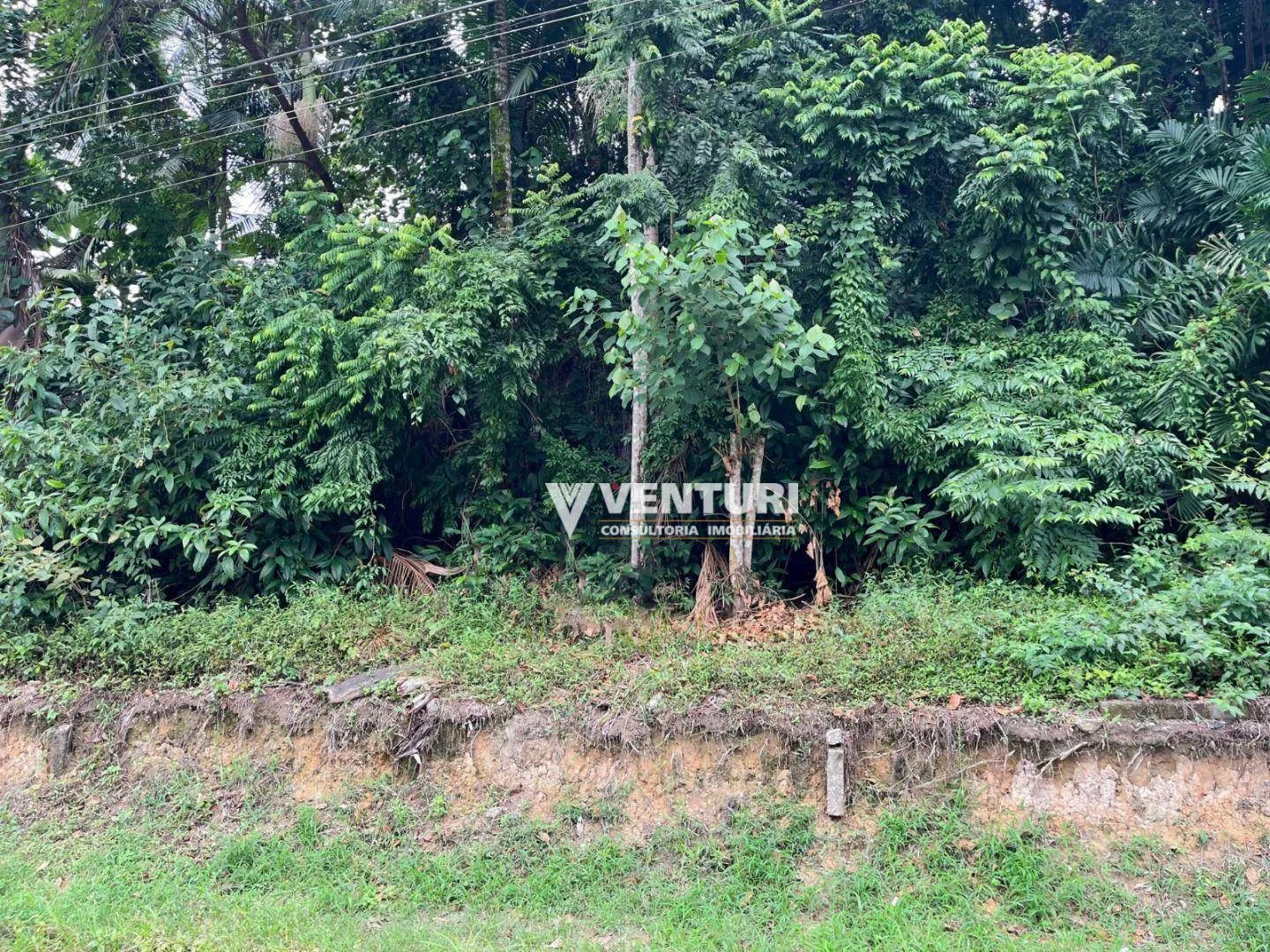 Terreno à venda, 1153 m por R$ 810.000,00 - Fortaleza - Blumenau/SC — foto 6