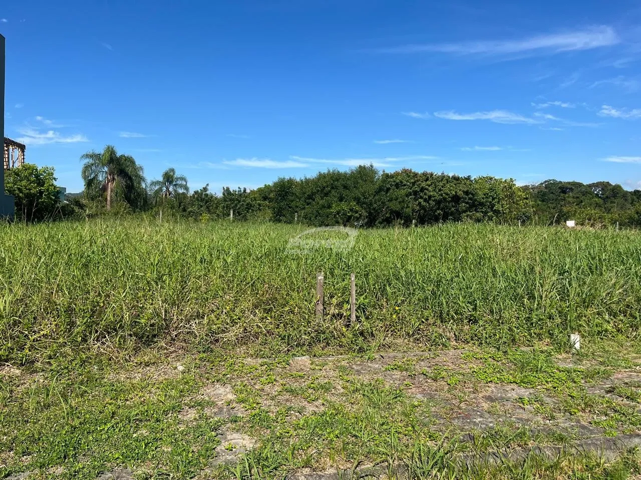 Terreno plano 350 metros - 12 x 25 em rua privativa em Rotula - foto 1