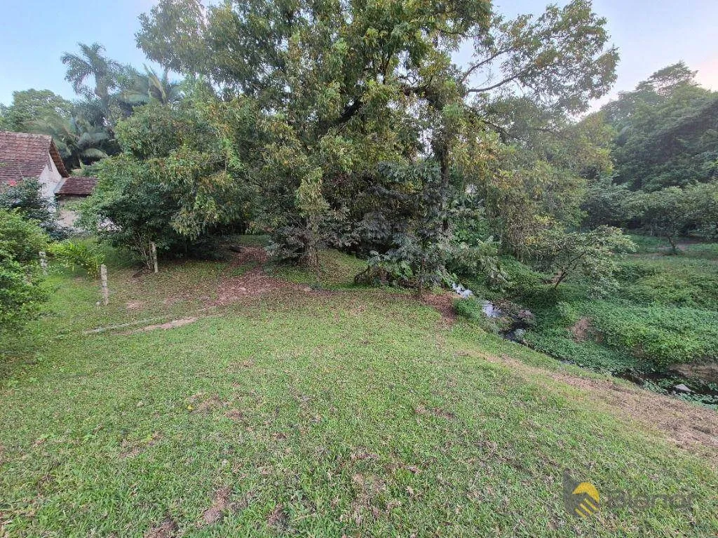 Chácara com 3 dormitórios à venda, 16642 m por R$ 1.190.000,00 - Velha Central - Blumenau/SC — foto 4