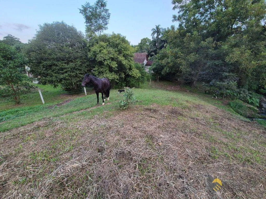 Chácara com 3 dormitórios à venda, 16642 m por R$ 1.190.000,00 - Velha Central - Blumenau/SC — foto 5