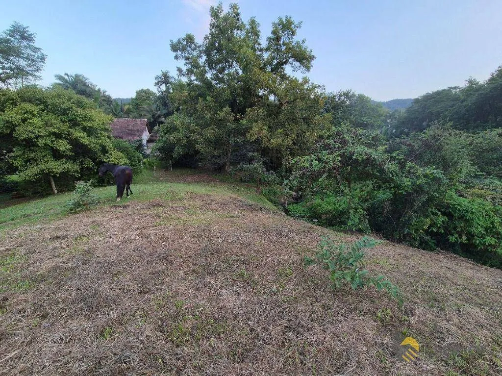 Chácara com 3 dormitórios à venda, 16642 m por R$ 1.190.000,00 - Velha Central - Blumenau/SC — foto 6