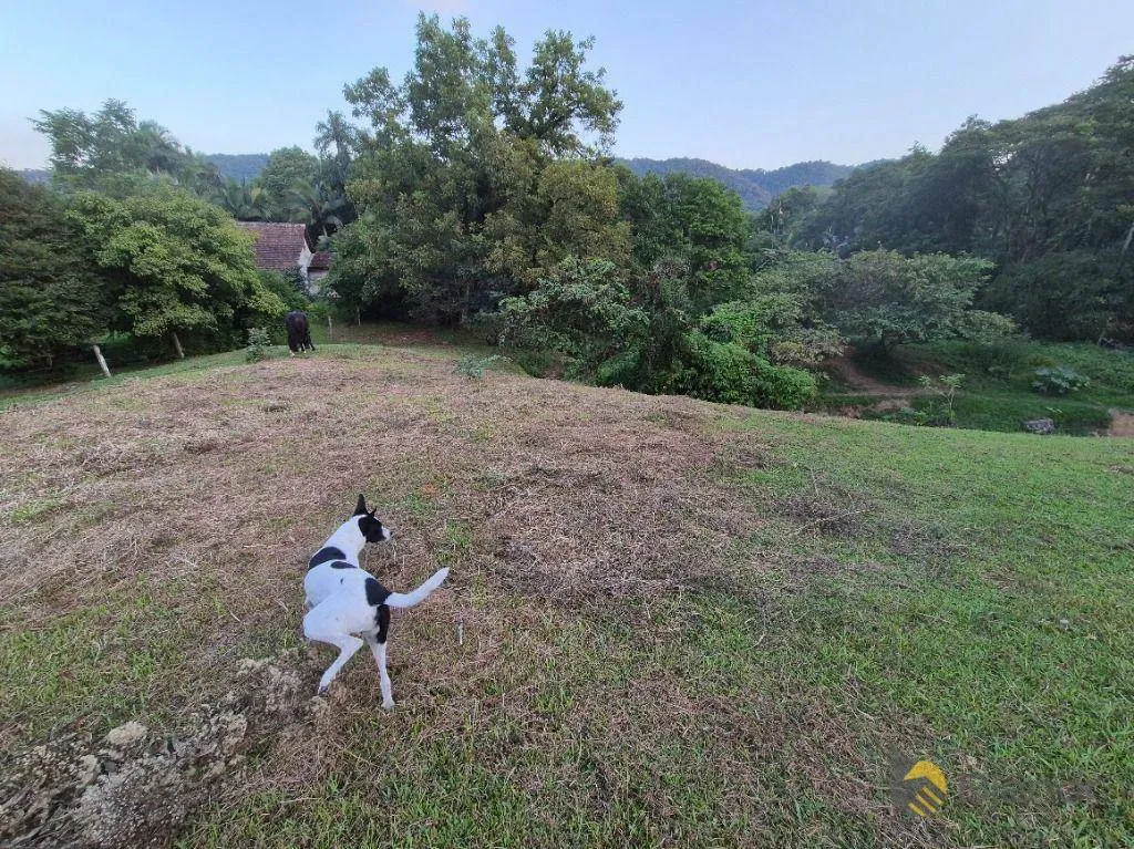 Chácara com 3 dormitórios à venda, 16642 m por R$ 1.190.000,00 - Velha Central - Blumenau/SC — foto 7