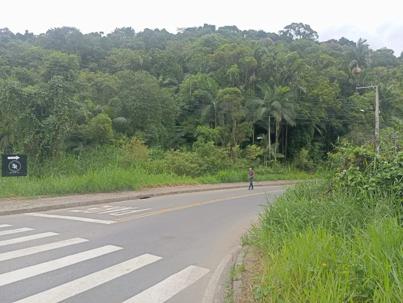 Terreno Badenfurt 478 — foto 4