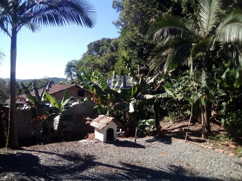 Terreno no Bairro Santa Catarina Joinville — foto 2