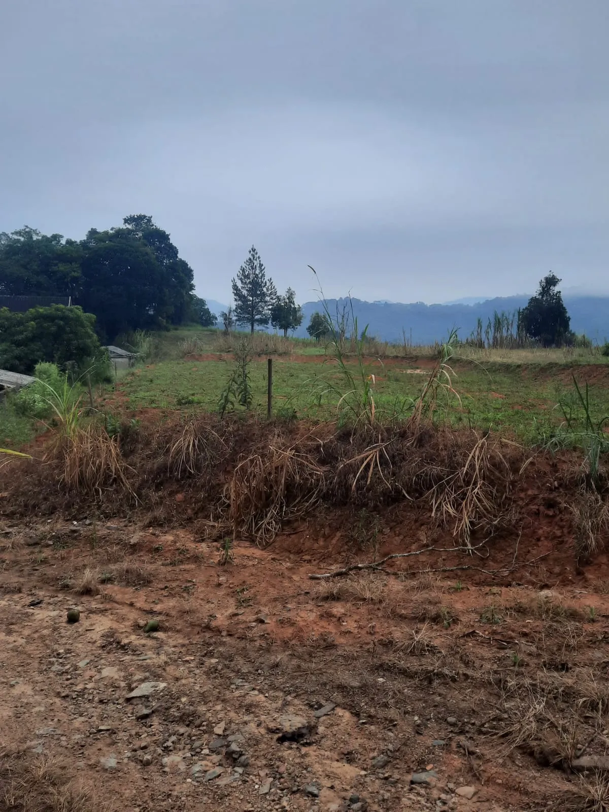 VENDO TERRENO — foto 3