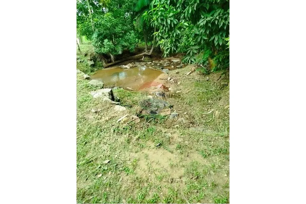 Terreno com 50.424m em Indaial - foto 1