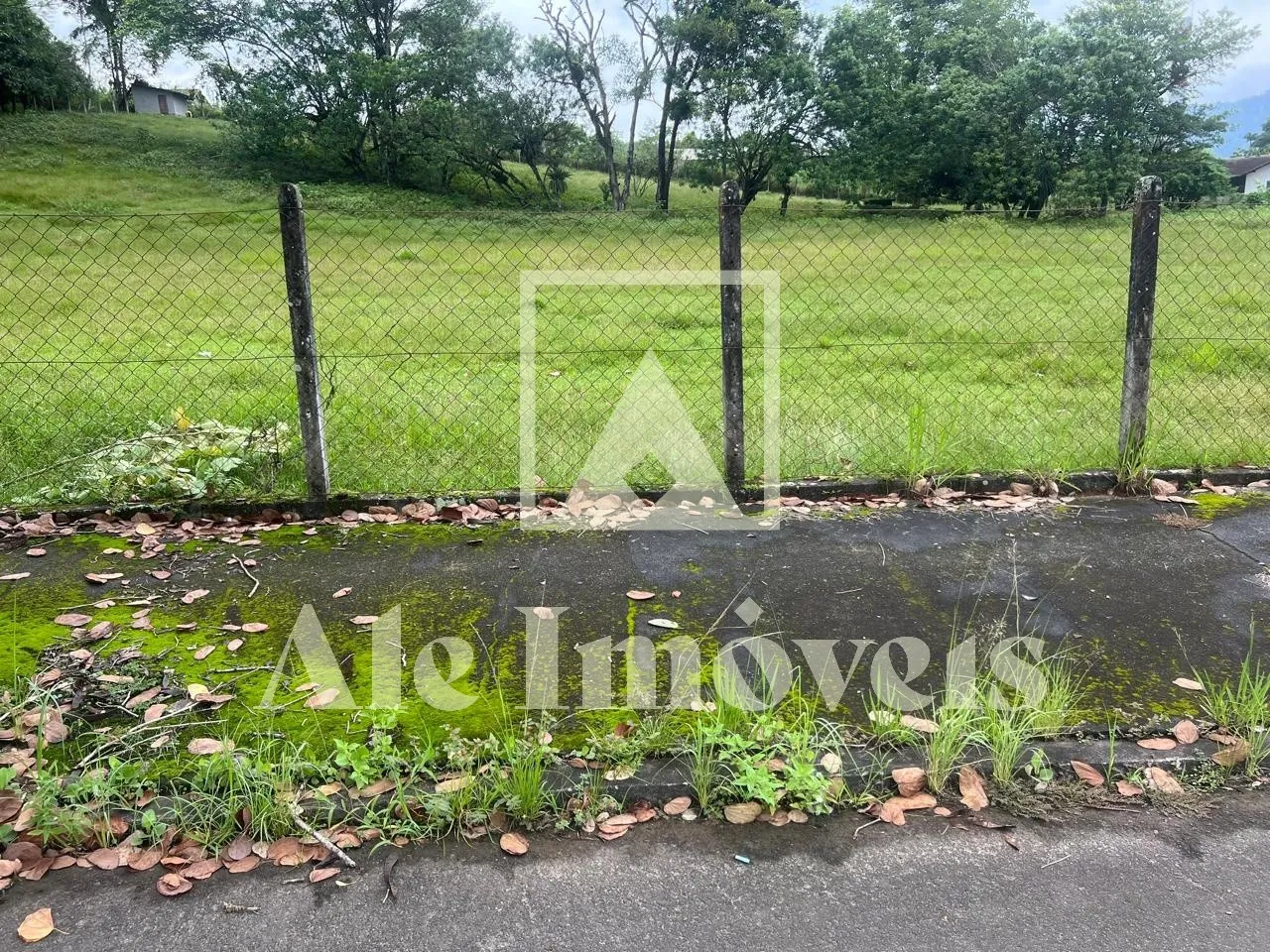 TERRENO POMERODE - foto 1