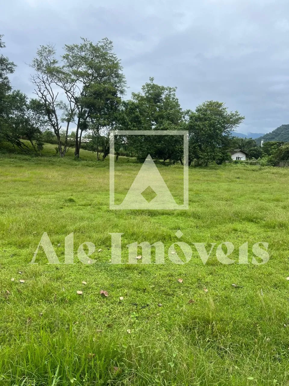 TERRENO POMERODE — foto 2