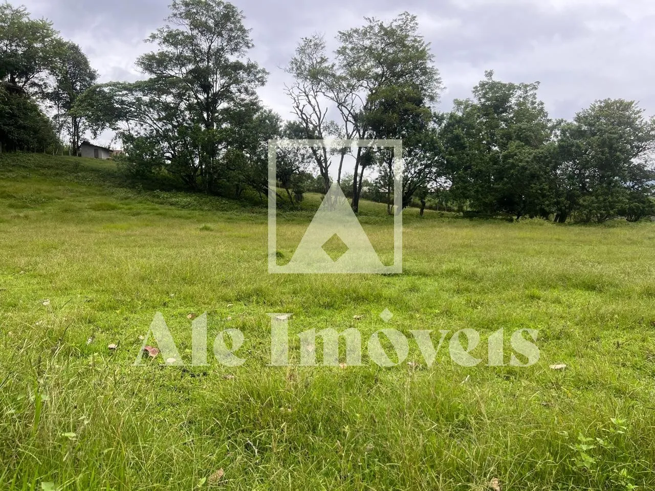 TERRENO POMERODE — foto 3