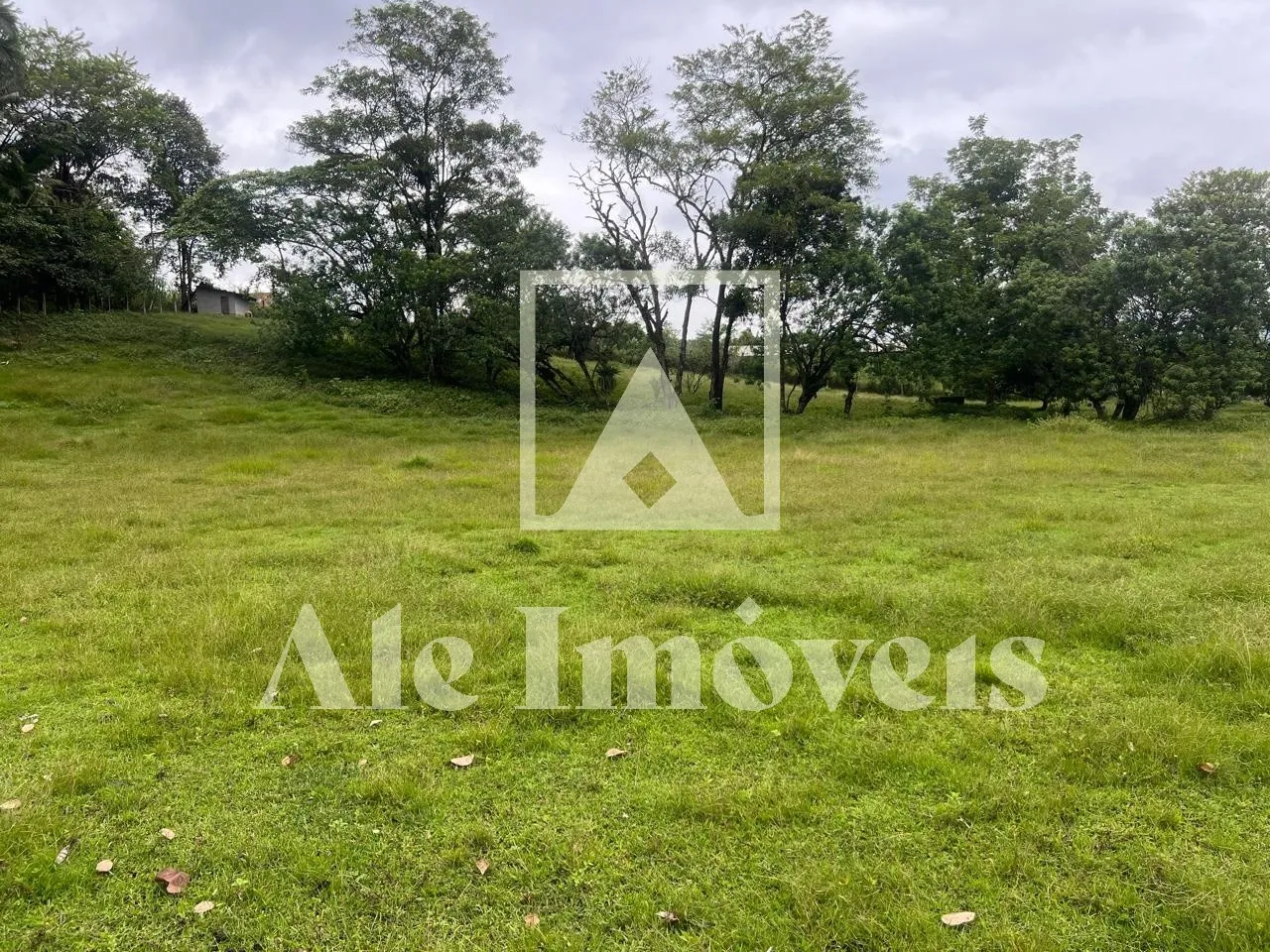 TERRENO POMERODE — foto 4