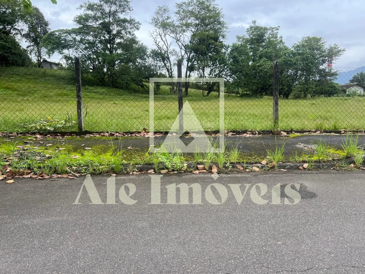 TERRENO POMERODE — foto 5