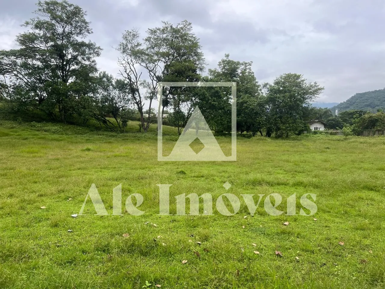 TERRENO POMERODE — foto 6