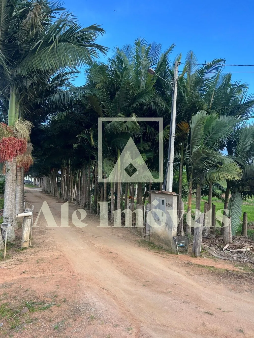 TERRENO POMERODE - foto 1