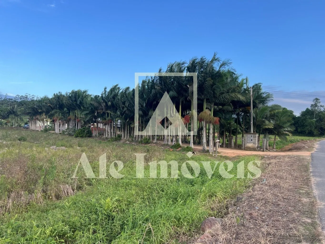 TERRENO POMERODE — foto 4