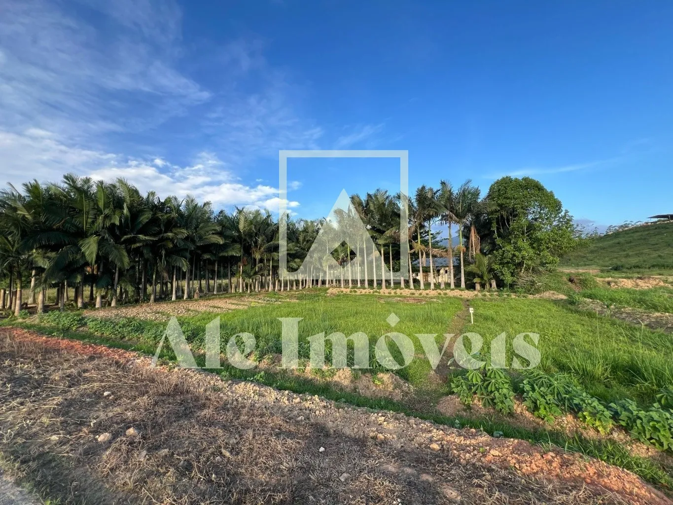 TERRENO POMERODE — foto 5