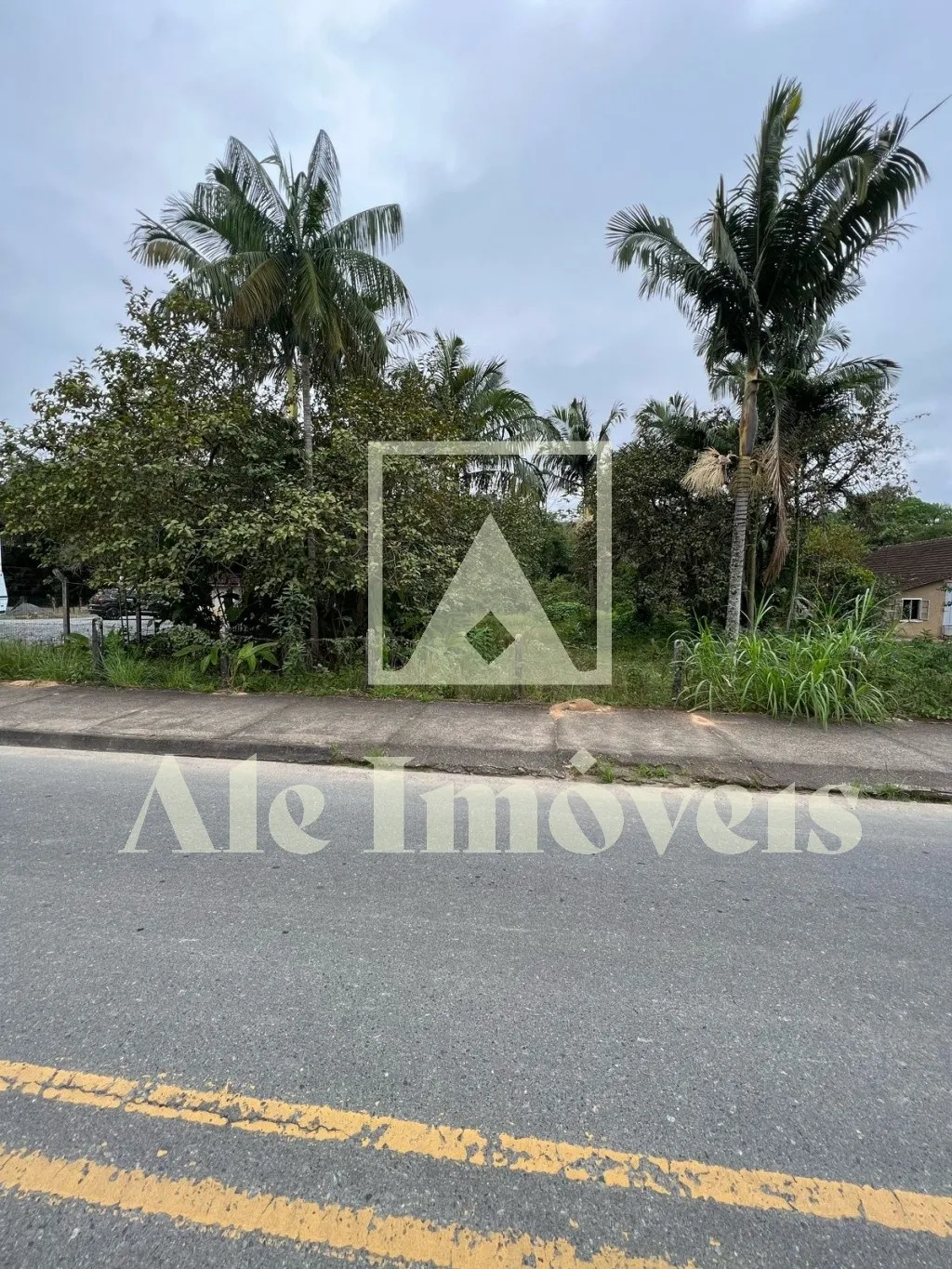 OPORTUNIDADE TERRENO POMERODE — foto 3