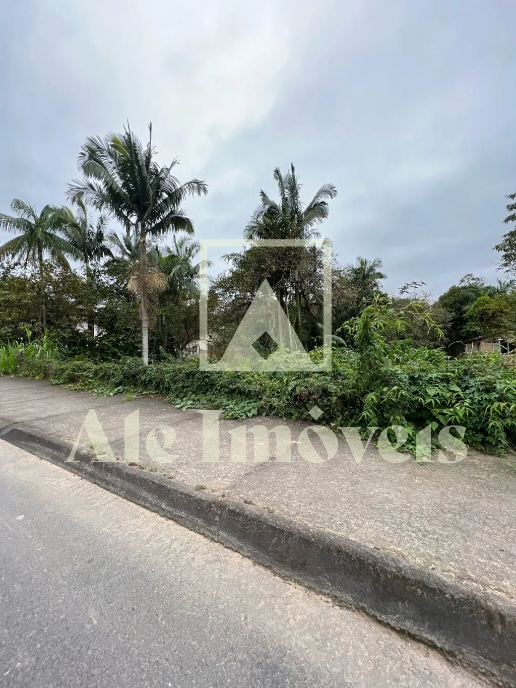 OPORTUNIDADE TERRENO POMERODE — foto 4