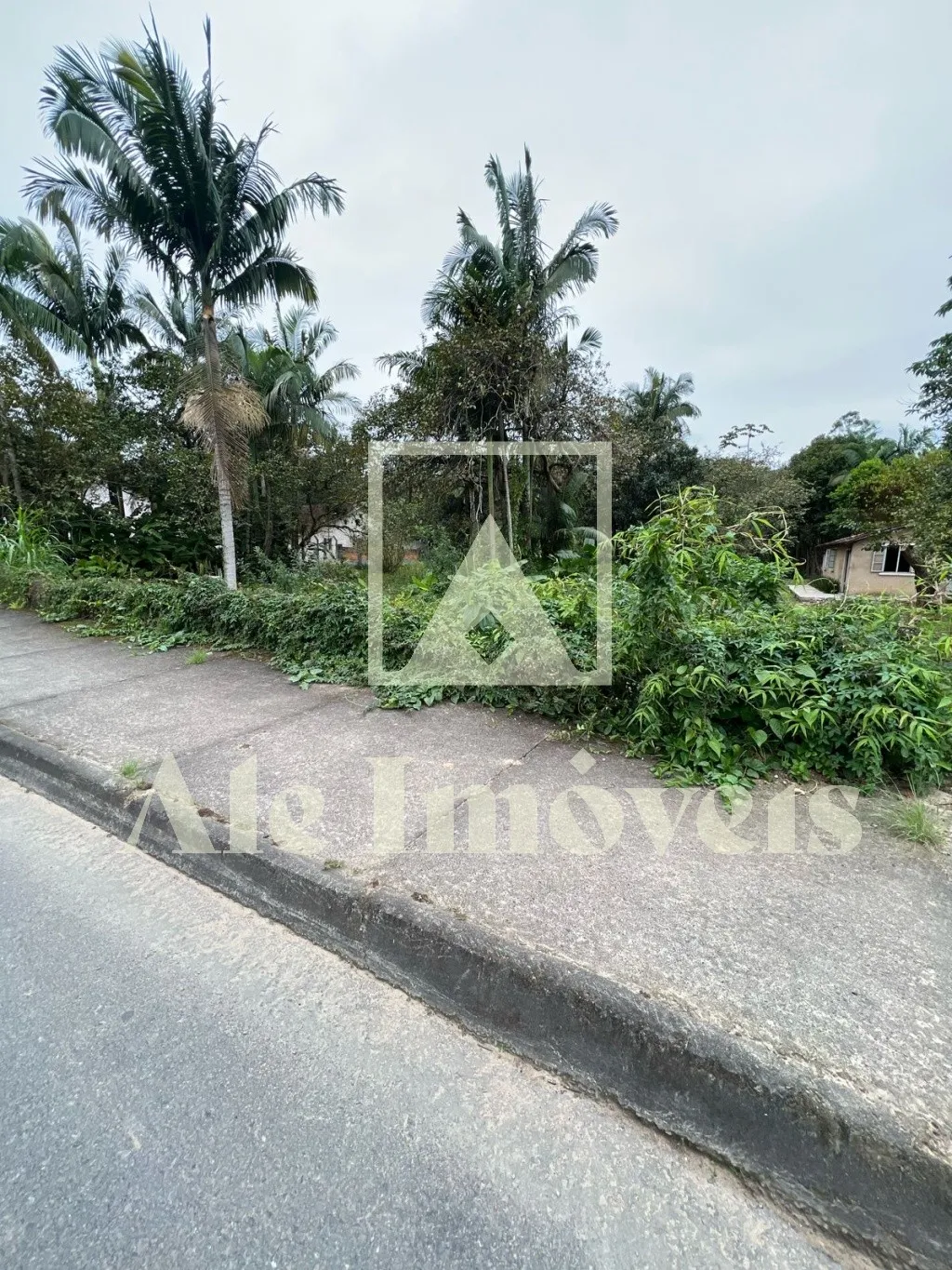 OPORTUNIDADE TERRENO POMERODE — foto 5