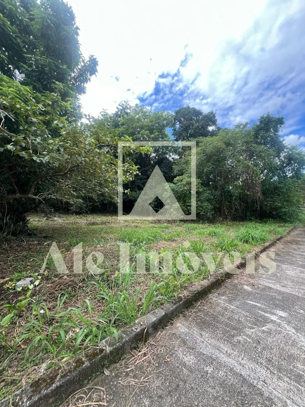 Terreno Exclusivo no Centro de Pomerode: Oportunidade Única para Morar ou Investir — foto 3