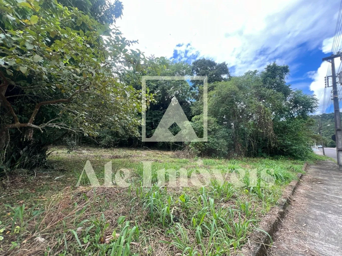 Terreno Exclusivo no Centro de Pomerode: Oportunidade Única para Morar ou Investir — foto 5