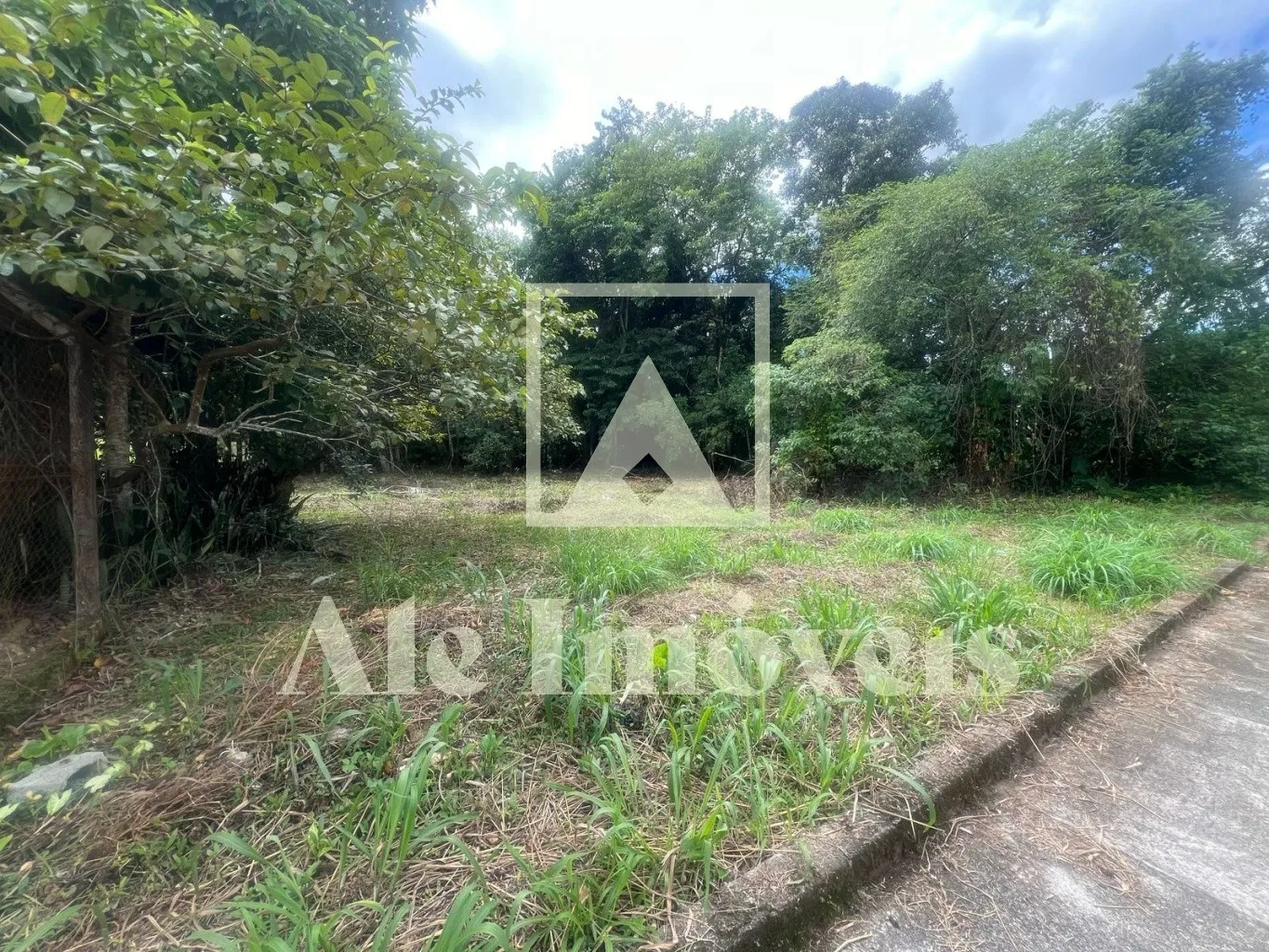 Terreno Exclusivo no Centro de Pomerode: Oportunidade Única para Morar ou Investir — foto 6